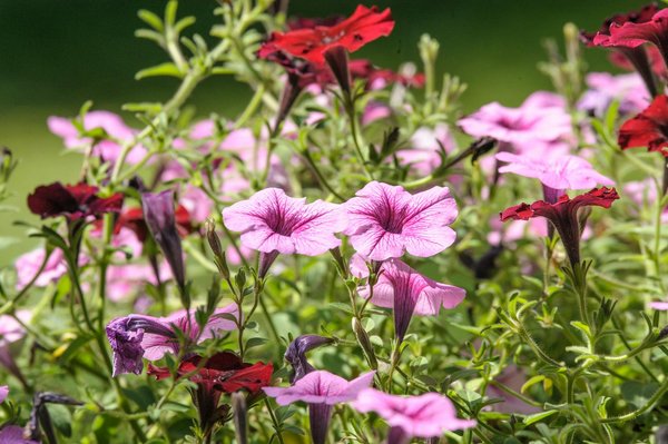 Le minimalisme dans la déco de salle de bain