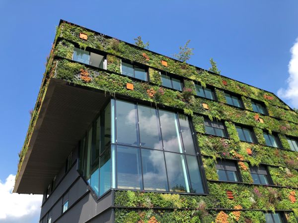 Top 5 conseils pour bâtir une maison verte et intelligente