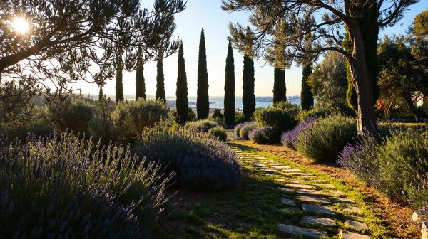 Trouvez un jardinier paysagiste à Marseille pour vos projets